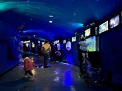 -烟台海昌鲸鲨海洋公园