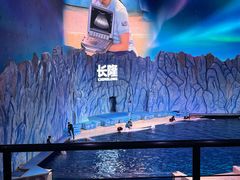 -珠海长隆海洋王国