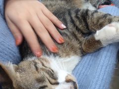 -玉椰林甜品店(创始店)