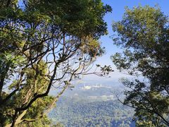 -广州市帽峰山景区
