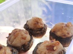 -四川农业大学(雅安校区)