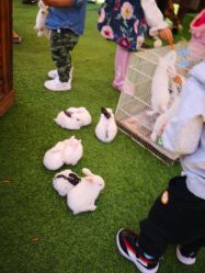 -萌宠亲子动物乐园(槐房万达店)