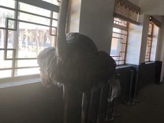 -河北村民俗体验园