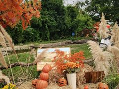 -HERRE·FARM 赫尔露营农场·团建聚会包场