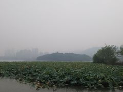 -梅溪湖城市岛