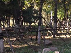 -长白岛森林公园