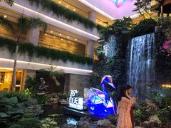 -白天鹅宾馆·流浮阁咖啡厅