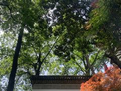-韬光茶庵
