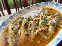 -呼吸森林·生态农庄农家乐私房菜