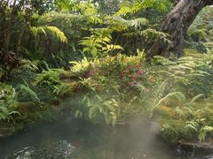 -Chom Cafe and Restaurant