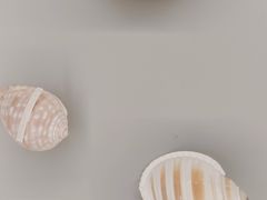 -天津古林古海岸遗迹博物馆