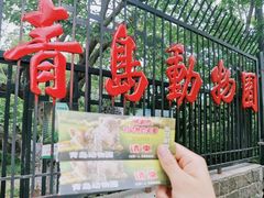 -青岛动物园