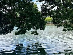 -溪口-滕头旅游景区