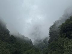 -青峰峡国家森林公园