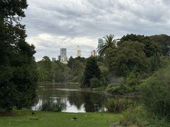 -墨尔本皇家植物园