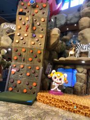 -卡通尼·Safari非洲探索乐园·生日会(金桥国际商业广场店)