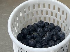 -城南综合水果批发市场(花园路店)