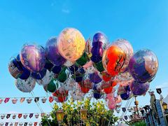 -上海迪士尼度假区