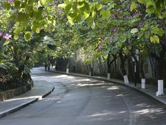 -水濂山森林公园