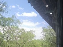 -鹊华居·地道鲁菜·海鲜·融合味(大明湖店)