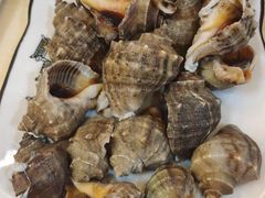 -宾朋海鲜特色美食餐厅·纯手工鲅鱼水饺(兴海路店)