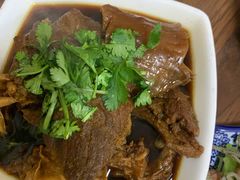 炖牛筋-老马家蒸饺(南海街店)