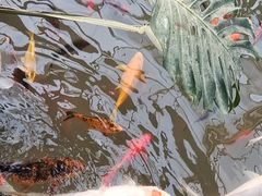 -南通洲际绿博园