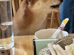 -柴の食堂·日式家庭料理·熊之肆(大学路店)