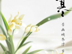 -清沐SPA生活馆(观前街店)