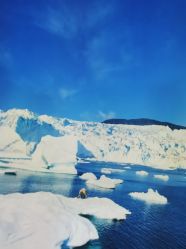 -翱翔飞越地平线