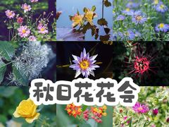 -国家植物园