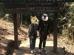 -清迈丛林飞跃 JungleFlight