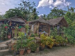 -Jungle Kitchen