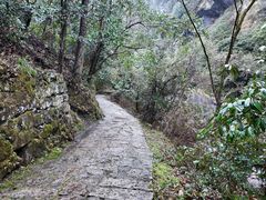 -黄山翡翠谷景区