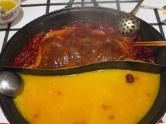-朱光玉火锅馆(正弘城店)