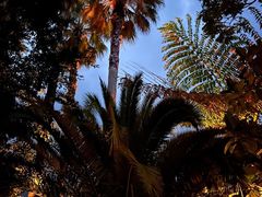 -昆明柏联SPA温泉