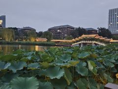 -西海子公园