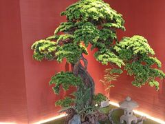 -阿伟海鲜楼·福建菜(延寿店)