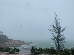 -广东惠东海龟国家级自然保护区