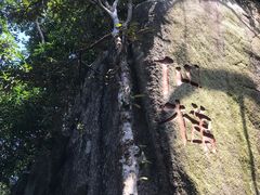 -亚龙湾热带天堂森林公园