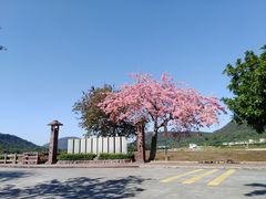 -艾米稻香小镇