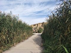 -水洞沟旅游区