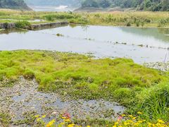 -孔雀湖生态旅游区