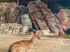 -八景休閒山莊  廣東十大名山莊