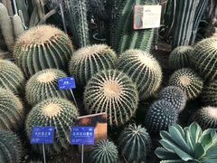 -国家植物园南园