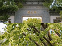 -东山风景区(洞庭东山)