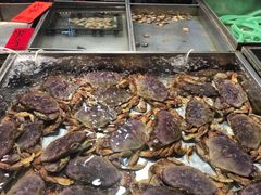 -湛江渔港·大排档(乐园路总店)