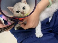 -佳雯宠物医院(金华南路分院)