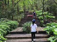 -杭州半山国家森林公园