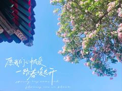 -妙应寺白塔